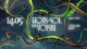 Hors sol Voiski-rimg-w960-h540-gmir[1].jpg